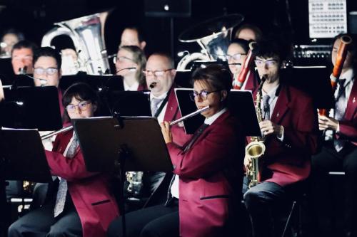Hommage du studio Ghibli - concert Les Alambics Martigny