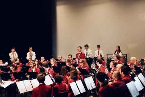 Hommage du studio Ghibli - concert Les Alambics Martigny
