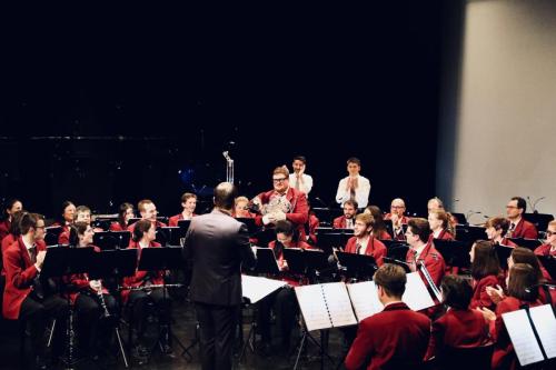 Hommage du studio Ghibli - concert Les Alambics Martigny