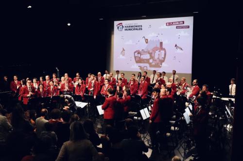 Hommage du studio Ghibli - concert Les Alambics Martigny